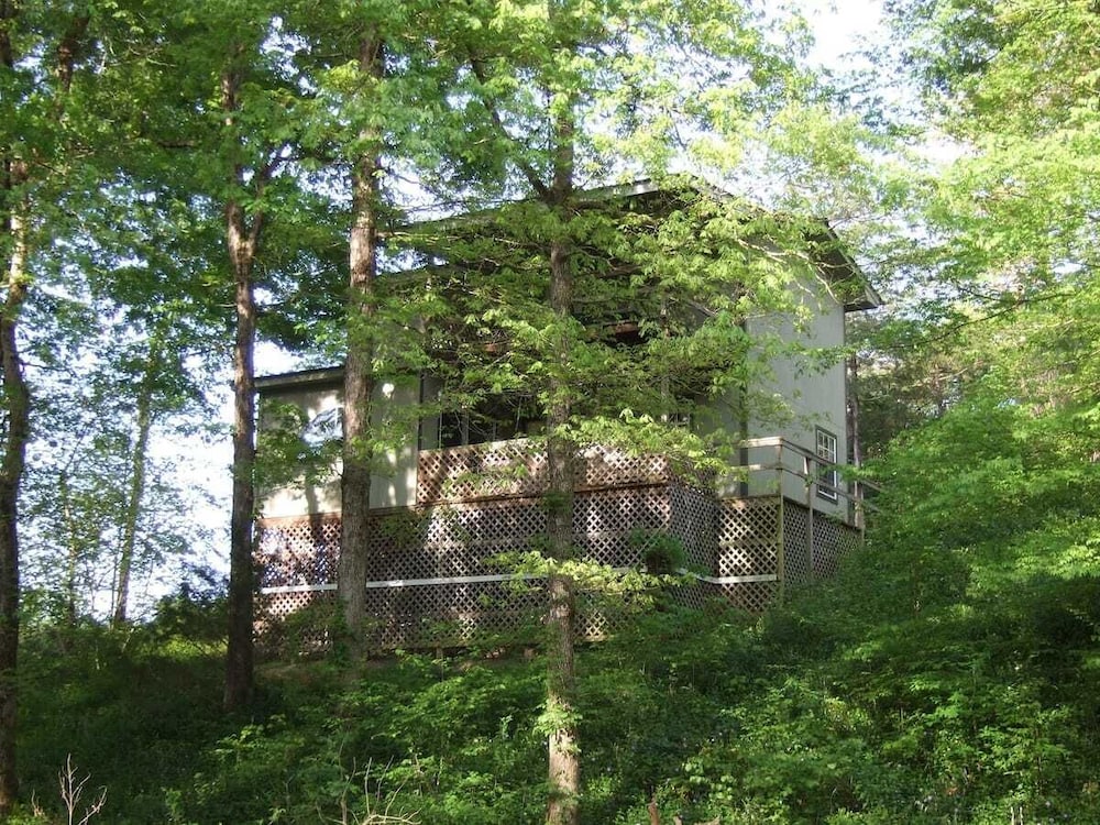 Ouachita Rose photo 1