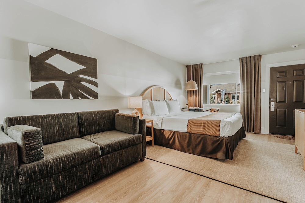 King with Kitchenette (Sleeper Sofa) photo 1