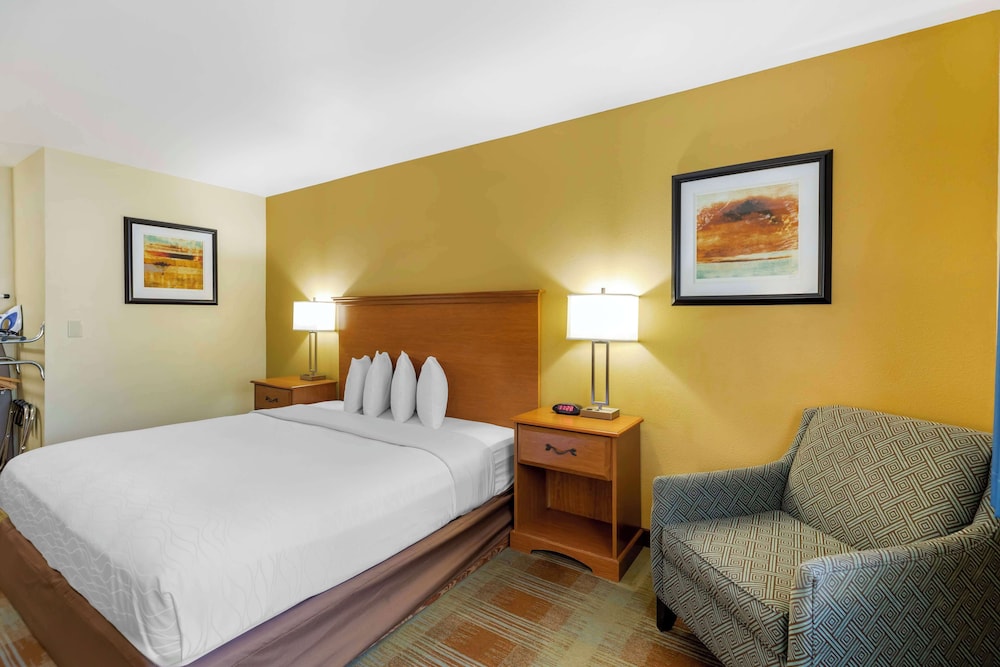 Standard Room, 1 King Bed, Non Smoking, Refrigerator & Microwave - Poolside photo 2