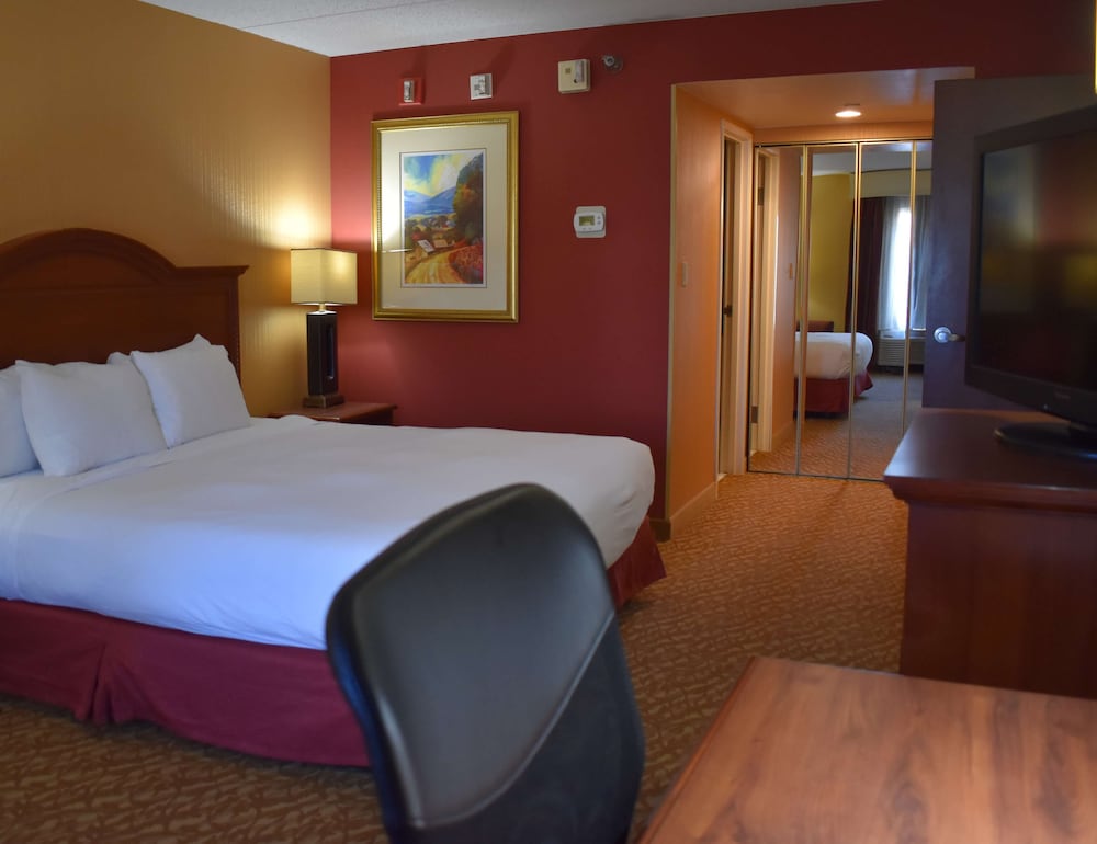 Suite One King Bed - Photo 2