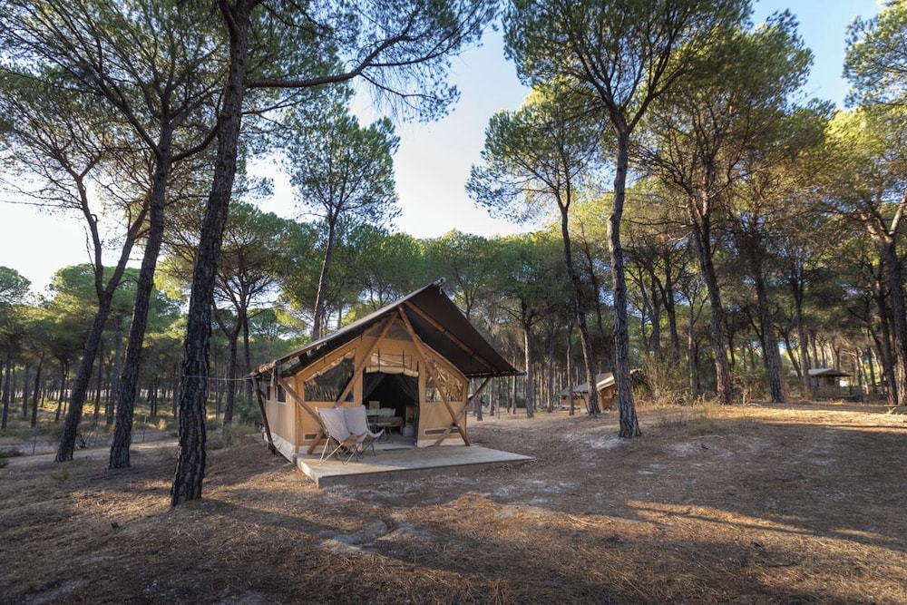 Classic Tent