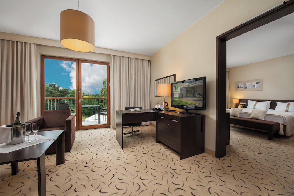 Suite, 1 King Bed with Sofa bed photo 1