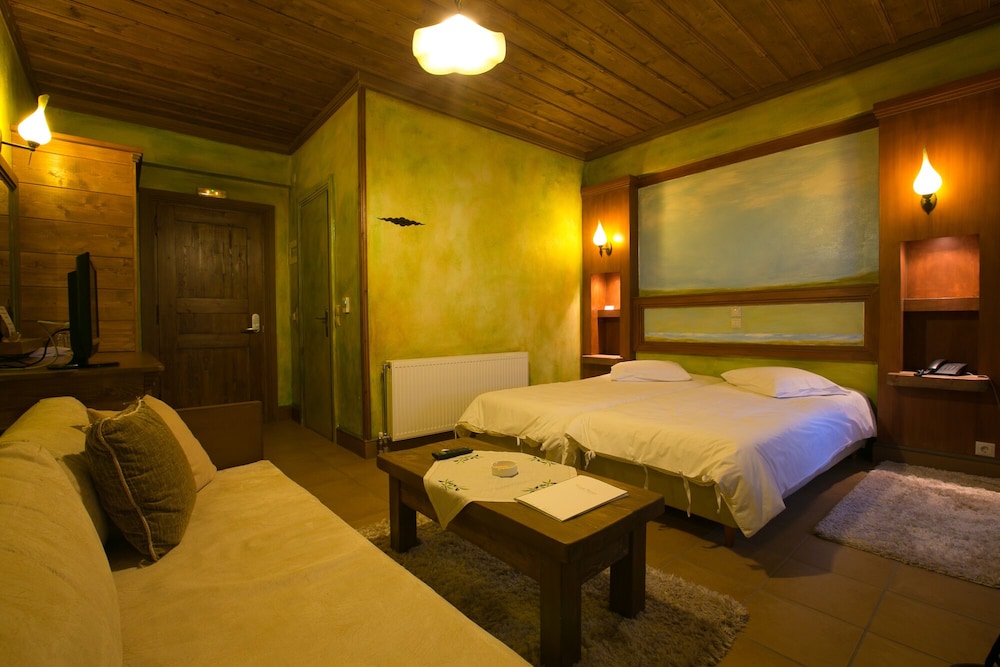 Premium Double or Twin Room photo 2