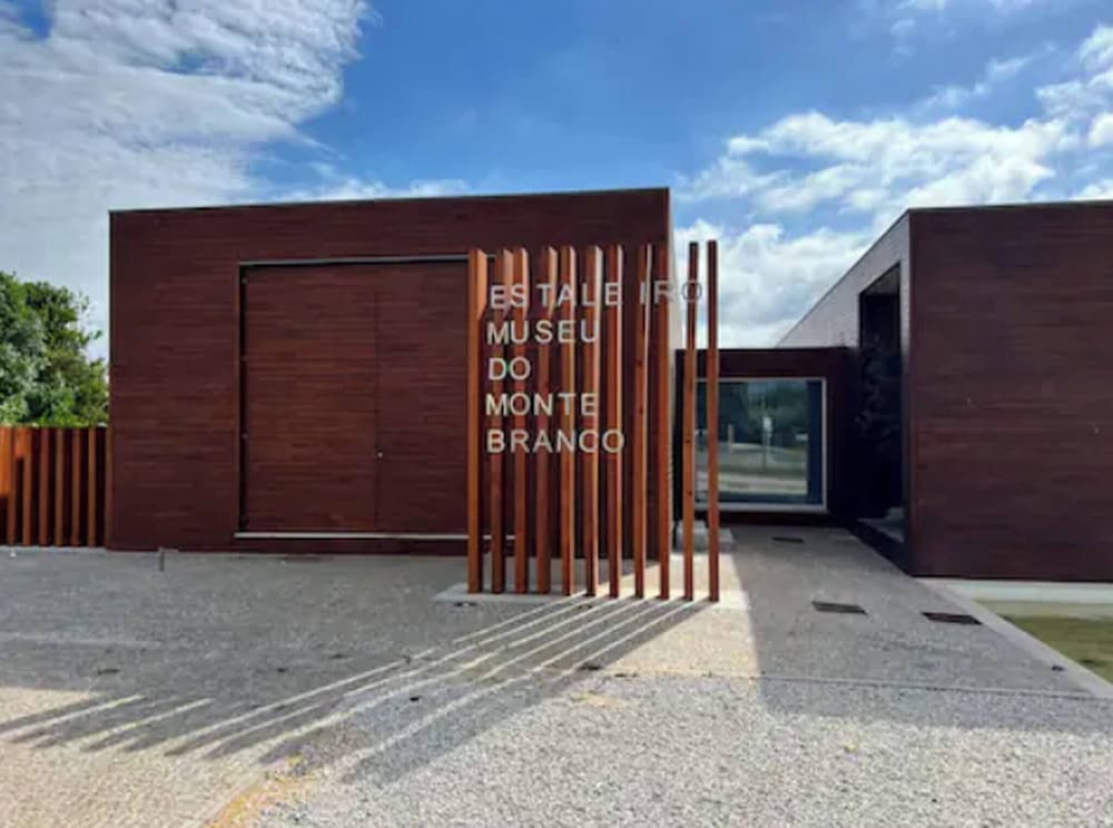 O Cantinho DA RIA - House With Pool and View of the Ria, Photo 26