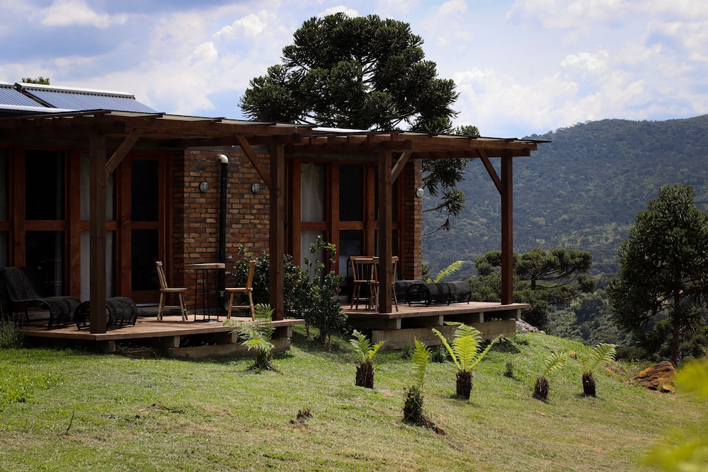 Grand Studio Suite, 1 King Bed, Hot Tub, Mountain View photo 3