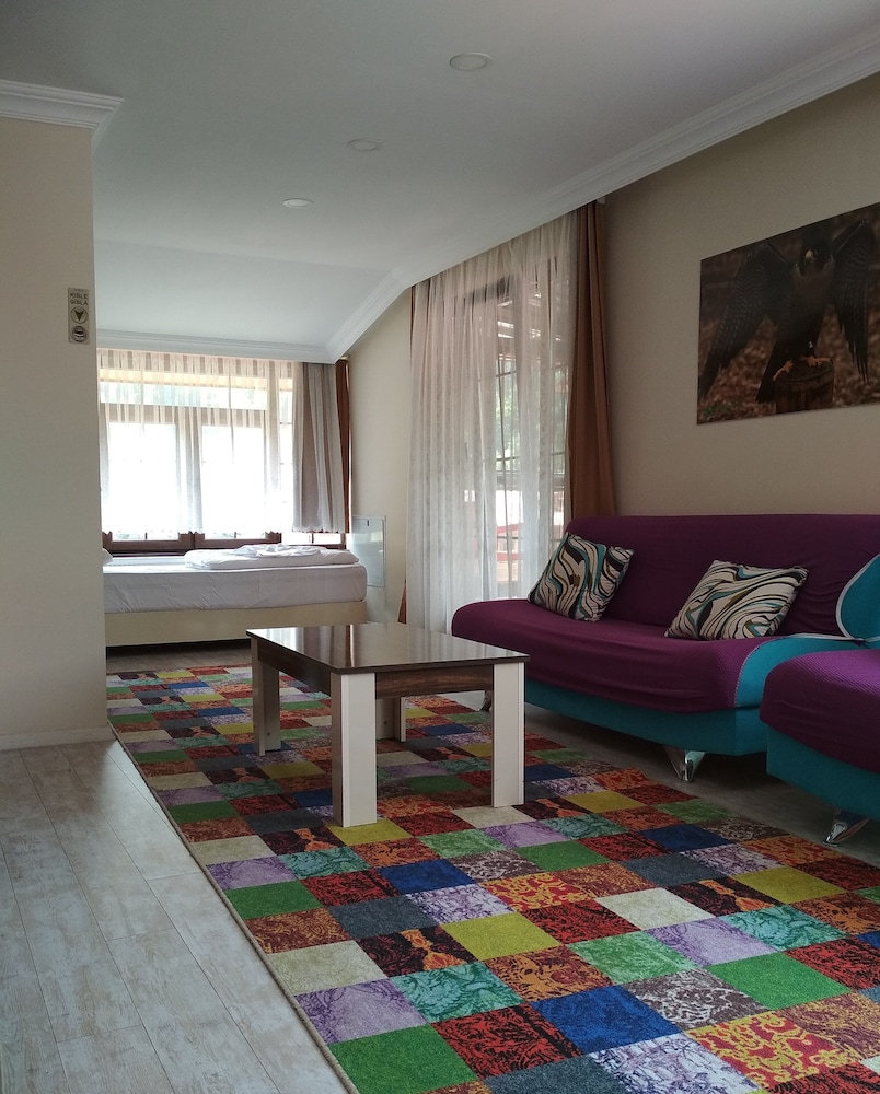 Comfort Double Room (Double Use) photo 1