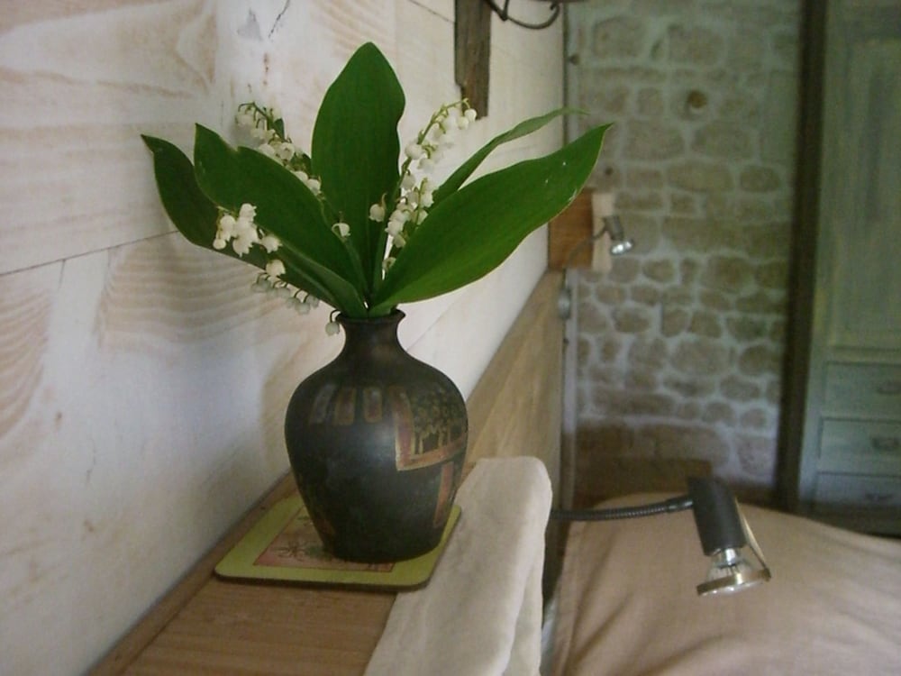 Classic Double Room, 1 Queen Bed, Garden View photo 3