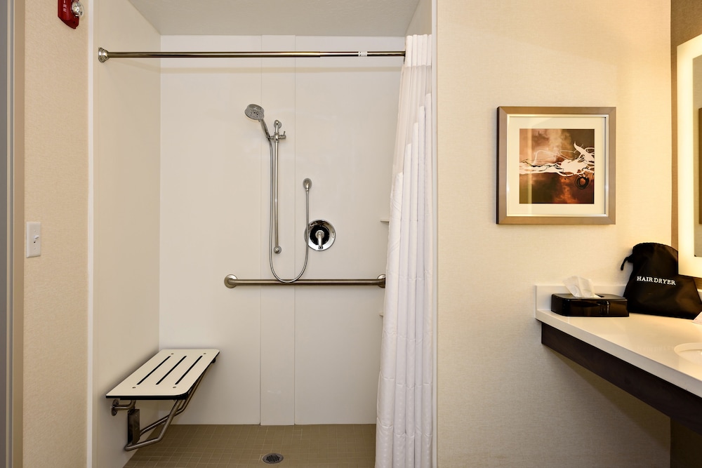Room, Accessible (Mobility Roll-In Shower) photo 2