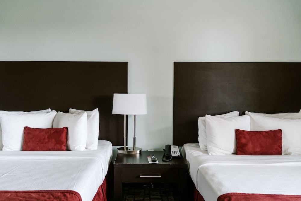 Standard Room, 2 Double Beds photo 1