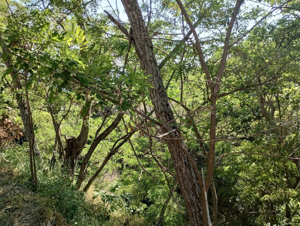 Zina s Cottage in Afetes, Foto 7
