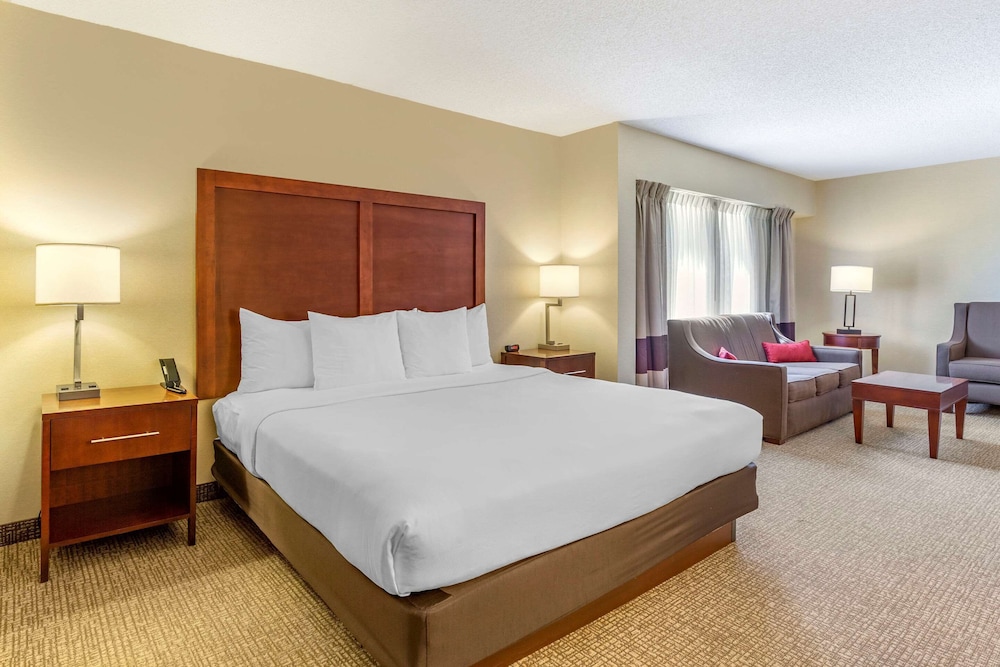 Suite, 1 King Bed, Non Smoking - Photo 1