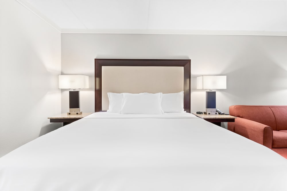 Deluxe Room, 1 King Bed - Photo 6