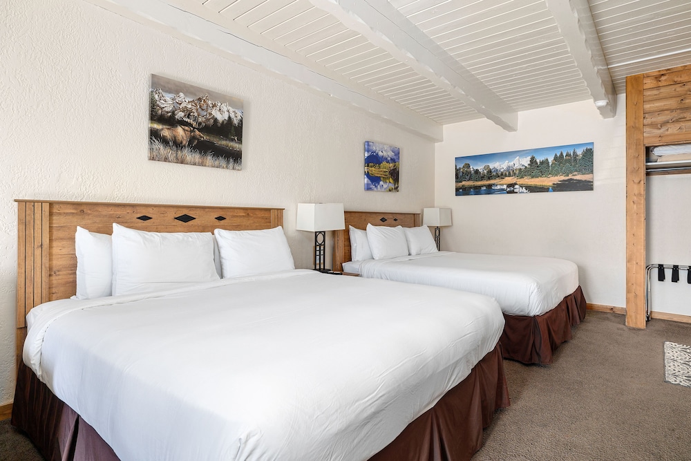 Family Suite photo 2