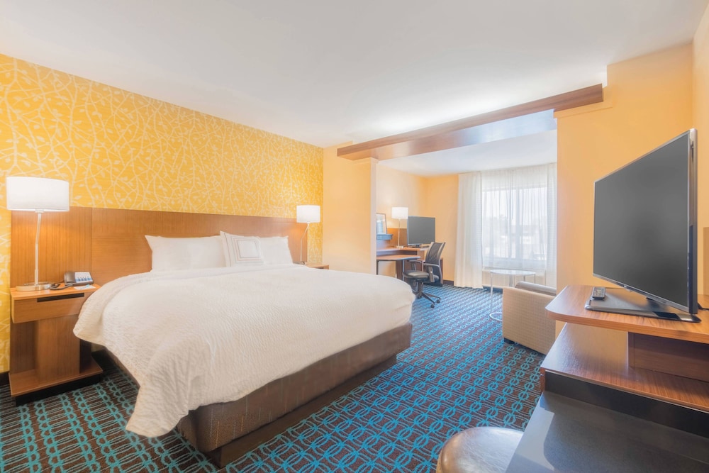 Suite, 1 King Bed with Sofa bed photo 1