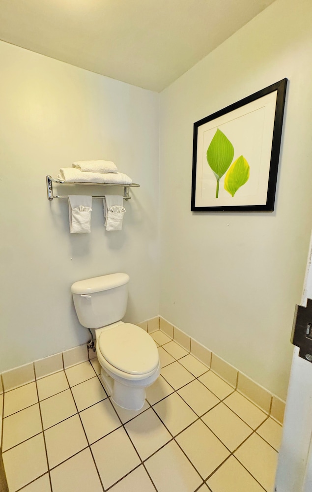 Standard Room, 1 Double Bed, Accessible, Non Smoking - Photo 7