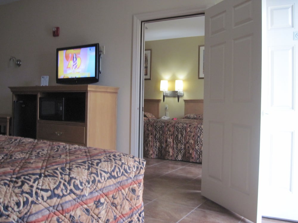 Deluxe Room, 1 King Bed, Smoking - Photo 4