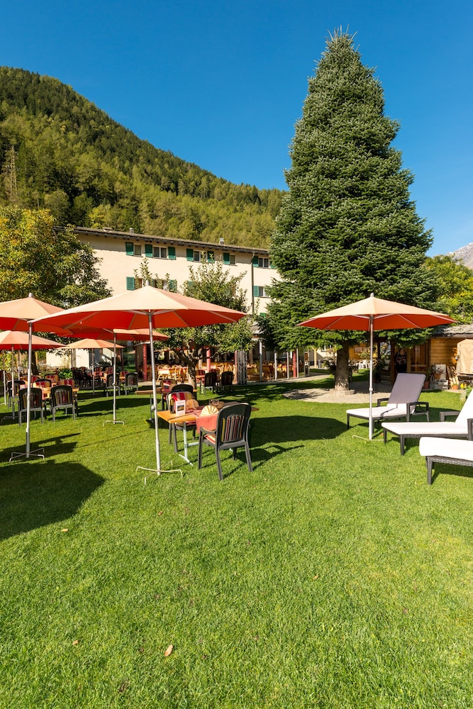 Single Room, Mountain View