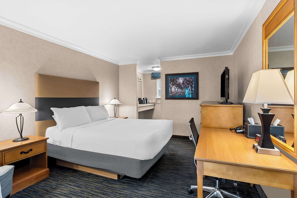 Standard Room, 1 Queen Bed, Accessible, Non Smoking photo 2