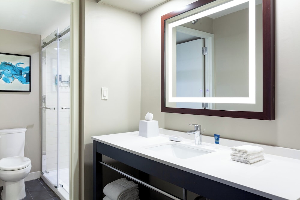 Suite, 1 Bedroom