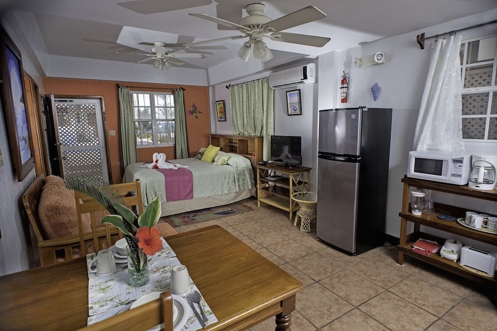 Studio, 1 King Bed, Kitchen, Poolside