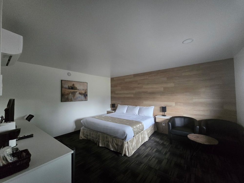 Comfort Single Room, 1 King Bed photo 2