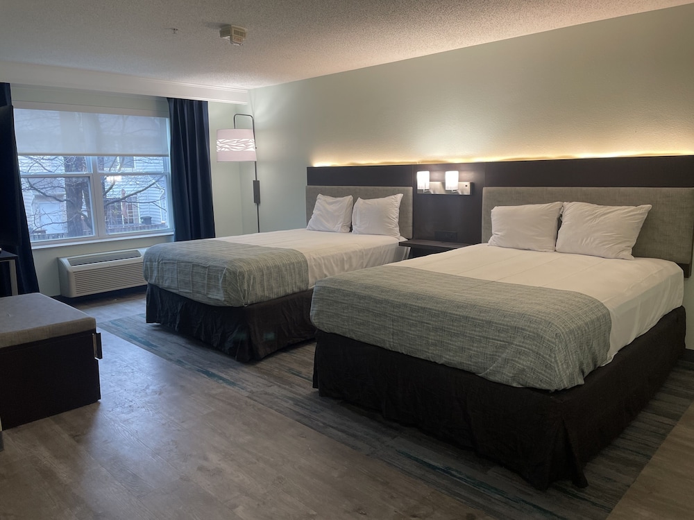 Room, Multiple Beds, Non Smoking photo 2
