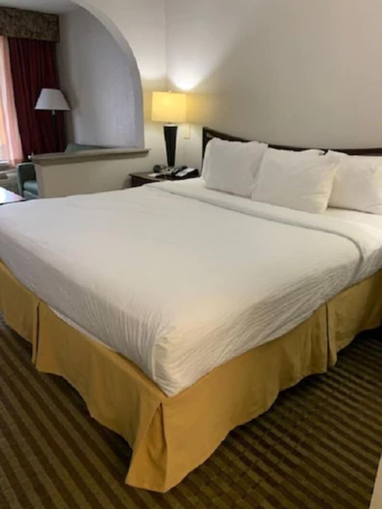 Suite, 1 King Bed with Sofa bed photo 1