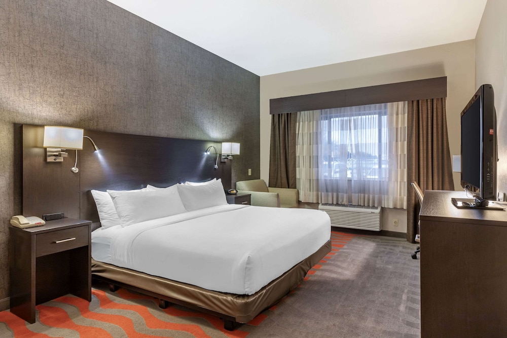 Suite, 1 King Bed, Dog Friendly, Non Smoking photo 1