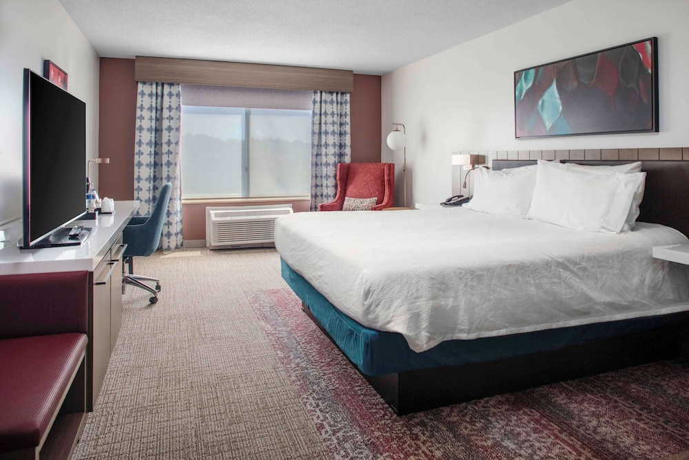 Room, 1 King Bed, Accessible (Roll-In Shower) - Photo 1