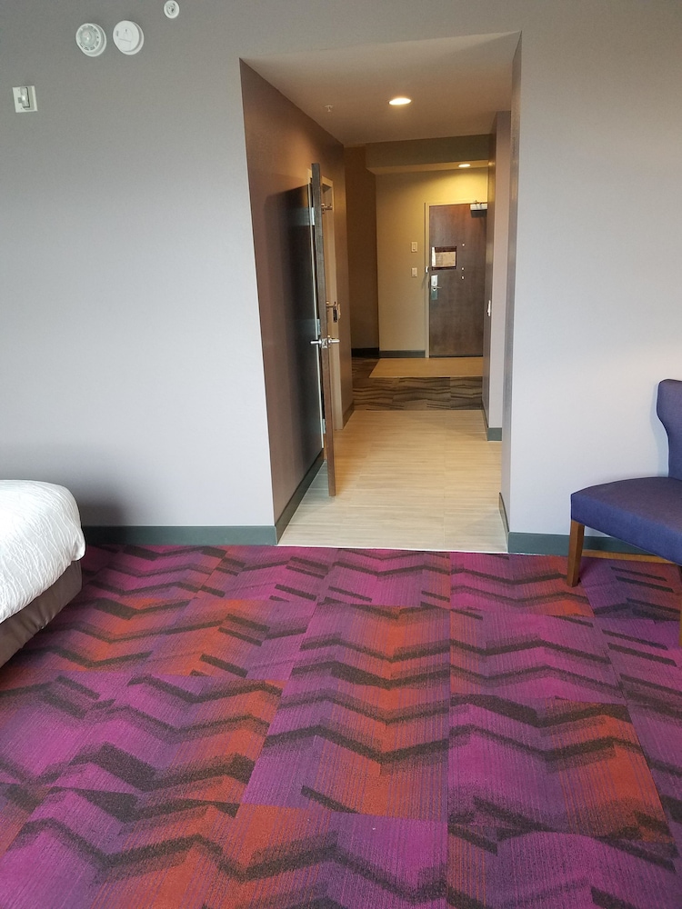 Hilton Garden Inn Tampa Suncoast Parkway, Foto 8