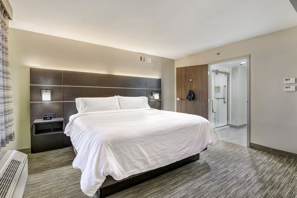Suite, 1 King Bed - Photo 8