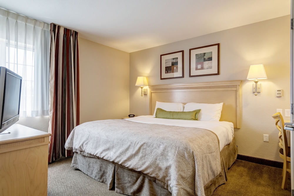 Studio Suite, 1 King Bed - Photo 2