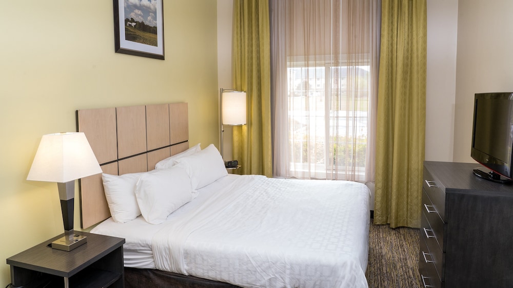 Suite, 1 King Bed, Roll-in Shower (Roll-In Shower) - Photo 4