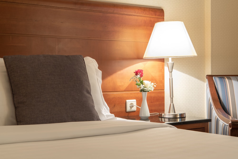 Standard Room, 1 King Bed, Accessible - Photo 6