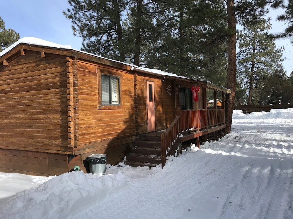 Family Cabin (12)
