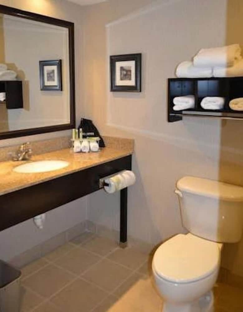 Standard Room, 1 King Bed, Accessible (Communications Accessible) - Photo 2