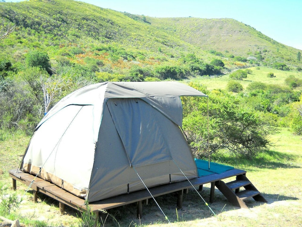 Furnished Tent photo 1