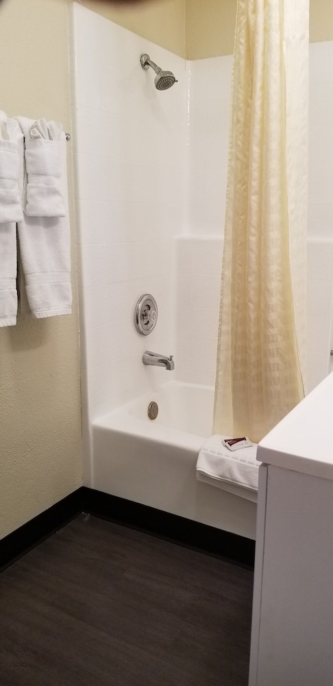 Deluxe Single Room photo 2