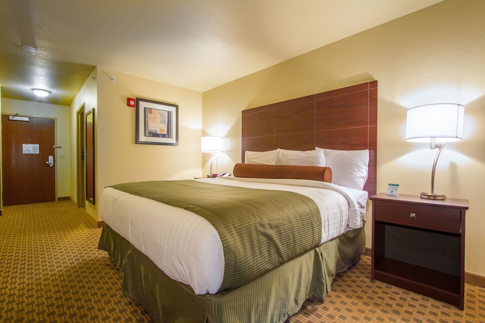 Room, 1 King Bed, Non Smoking photo 1