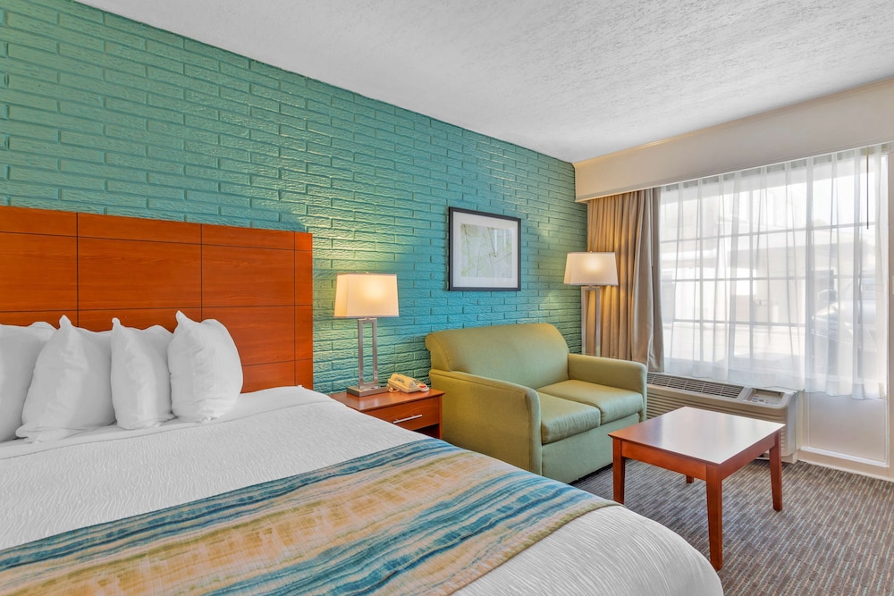 Standard Room, 1 King Bed, Non Smoking, Refrigerator & Microwave - Photo 3