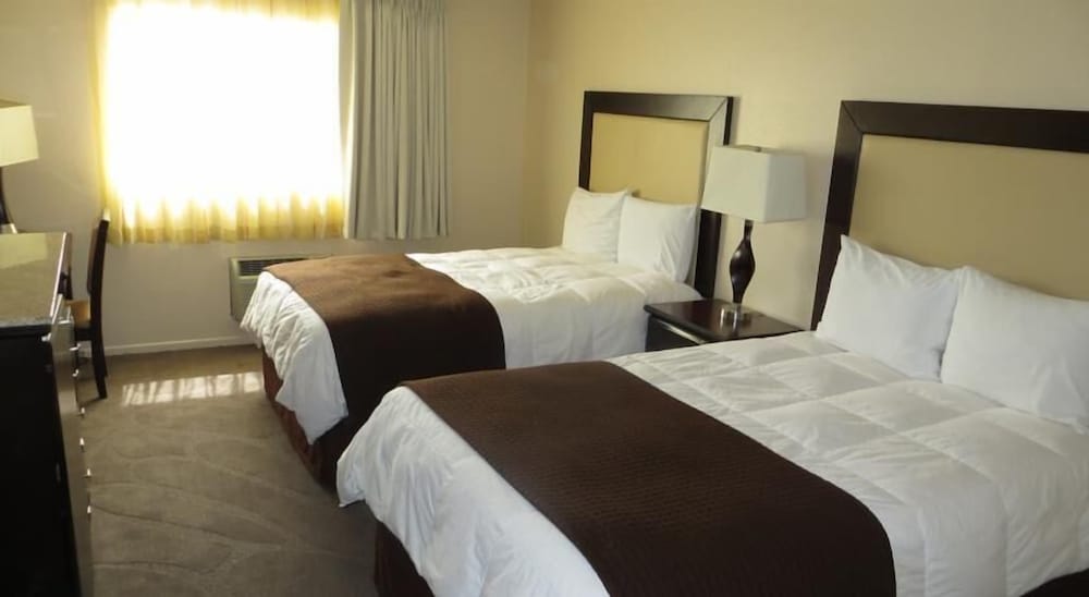 Standard Double Room, 2 Double Beds photo 1