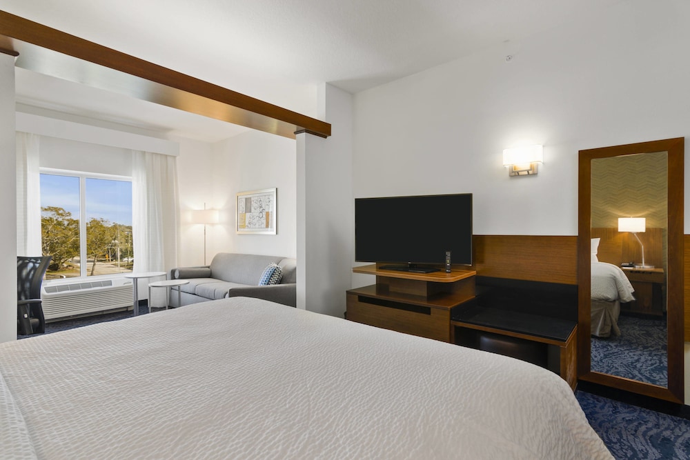 Suite, 1 King Bed with Sofa bed