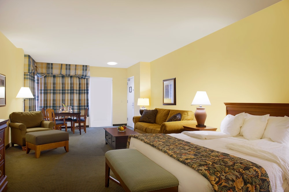 Suite, 1 King Bed with Sofa bed photo 3