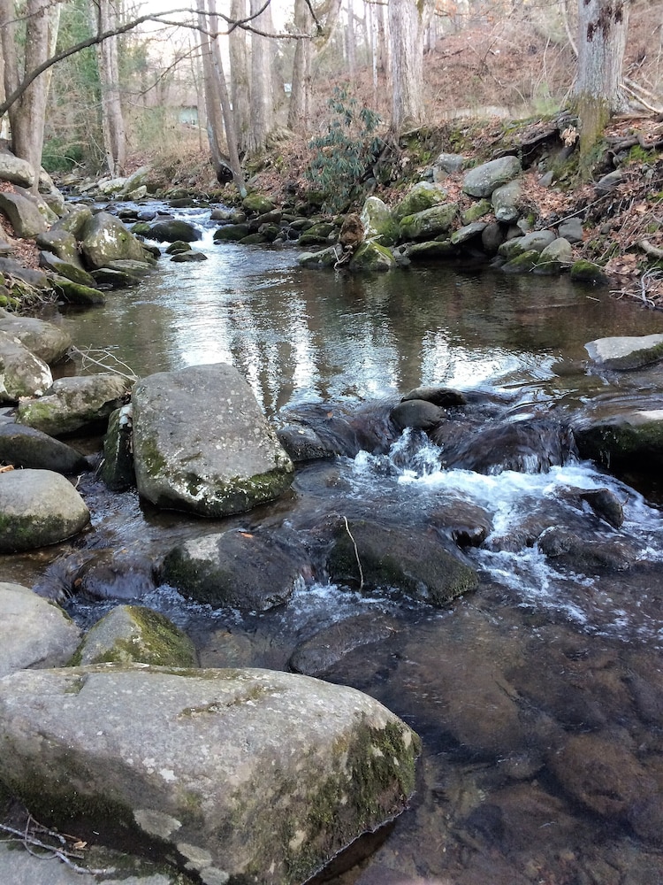 Creekside Two Doubles - No pets - Photo 6
