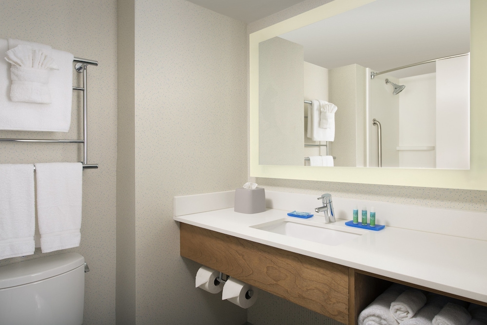 Suite, 1 King Bed, Accessible (Roll-In Shower) - Photo 2