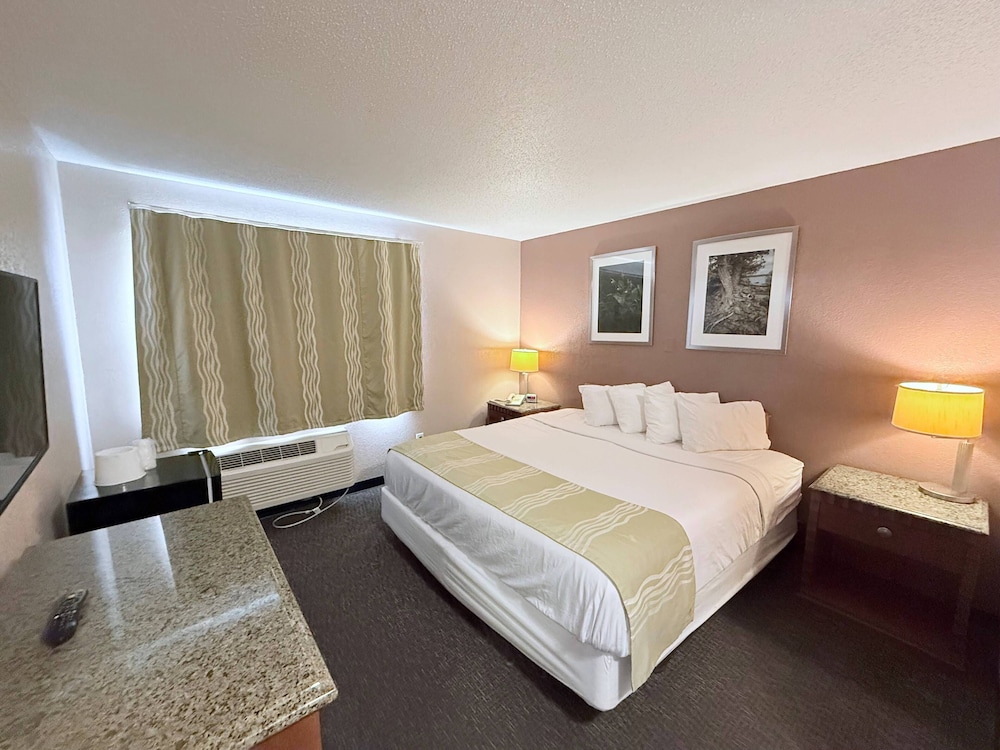 Room, 1 King Bed photo 1
