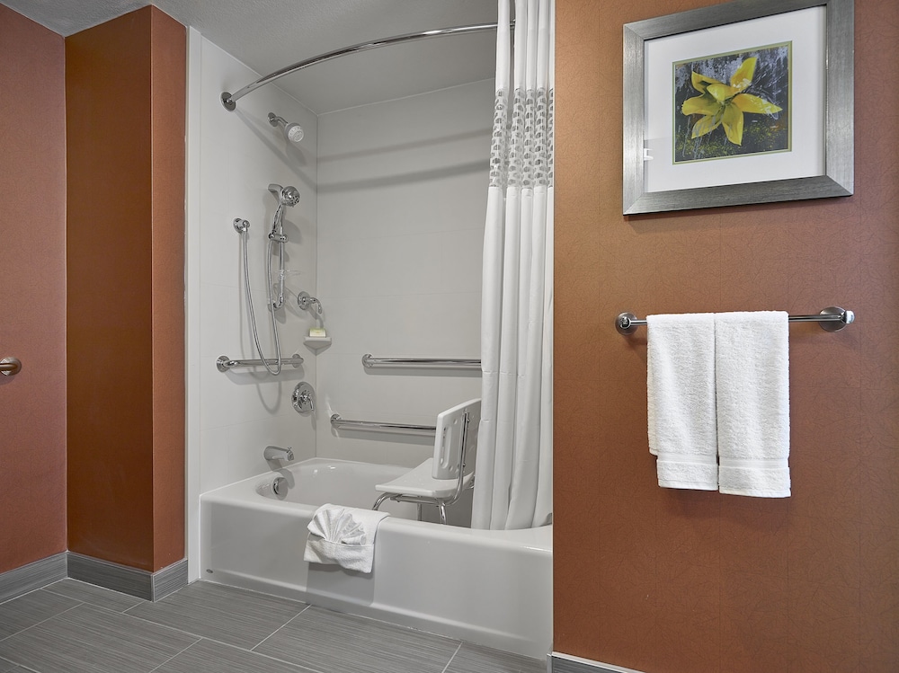 Premier Room, 1 King Bed, Accessible, Bathtub thumbnail 6