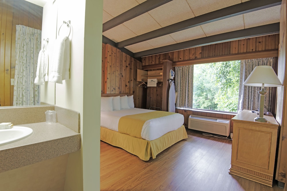 Suite, 1 Queen Bed photo 3