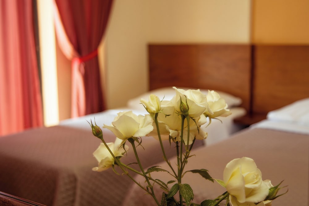 Double or Twin Room photo 2