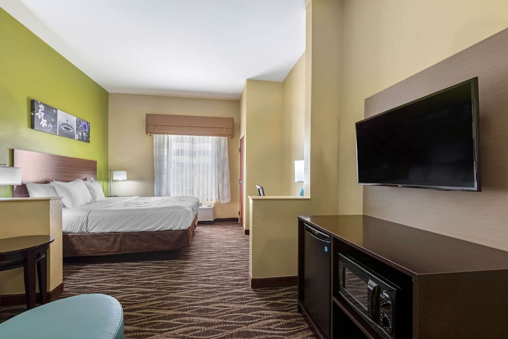 Suite, 1 King Bed with Sofa bed, Non Smoking - Photo 2